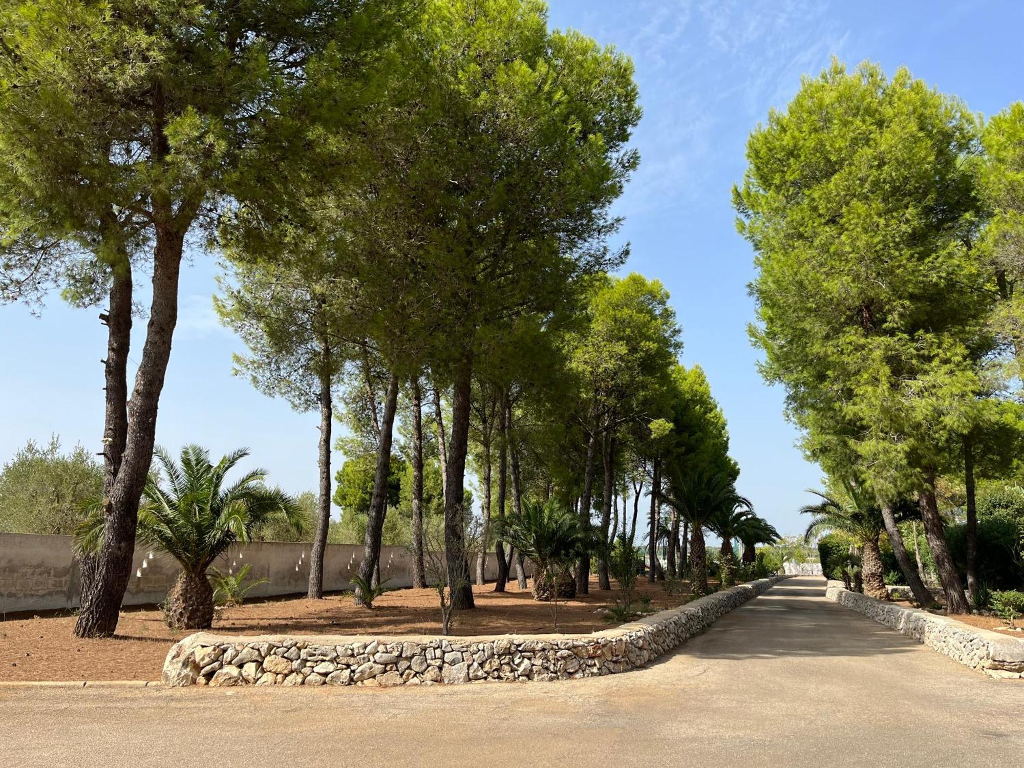 Casette Masseria La Camardia *