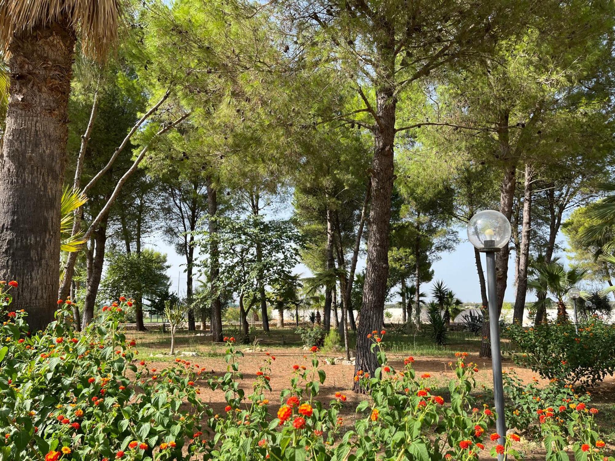Casette Masseria La Camardia Sava