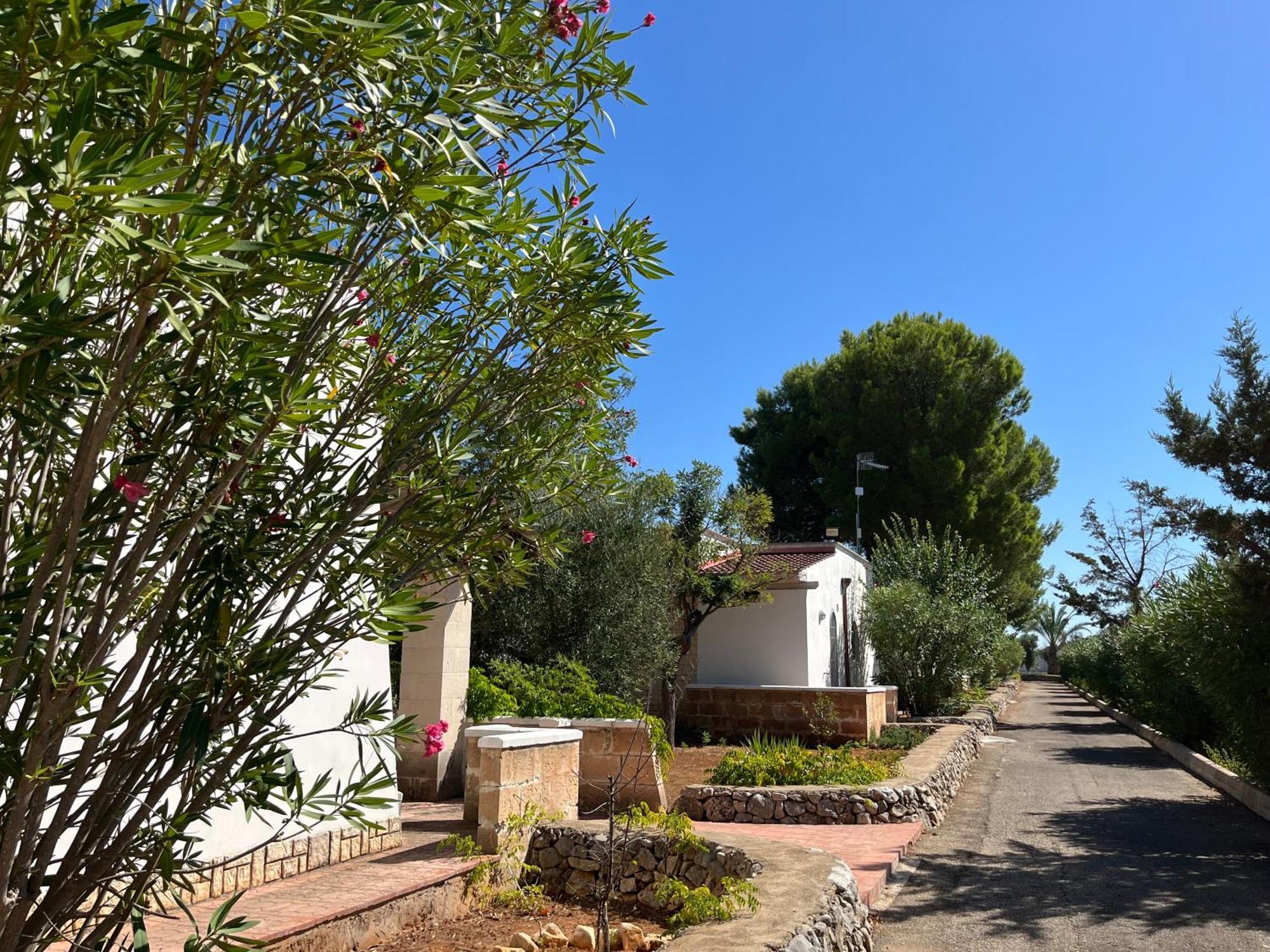 Casette Masseria La Camardia Holiday home Sava