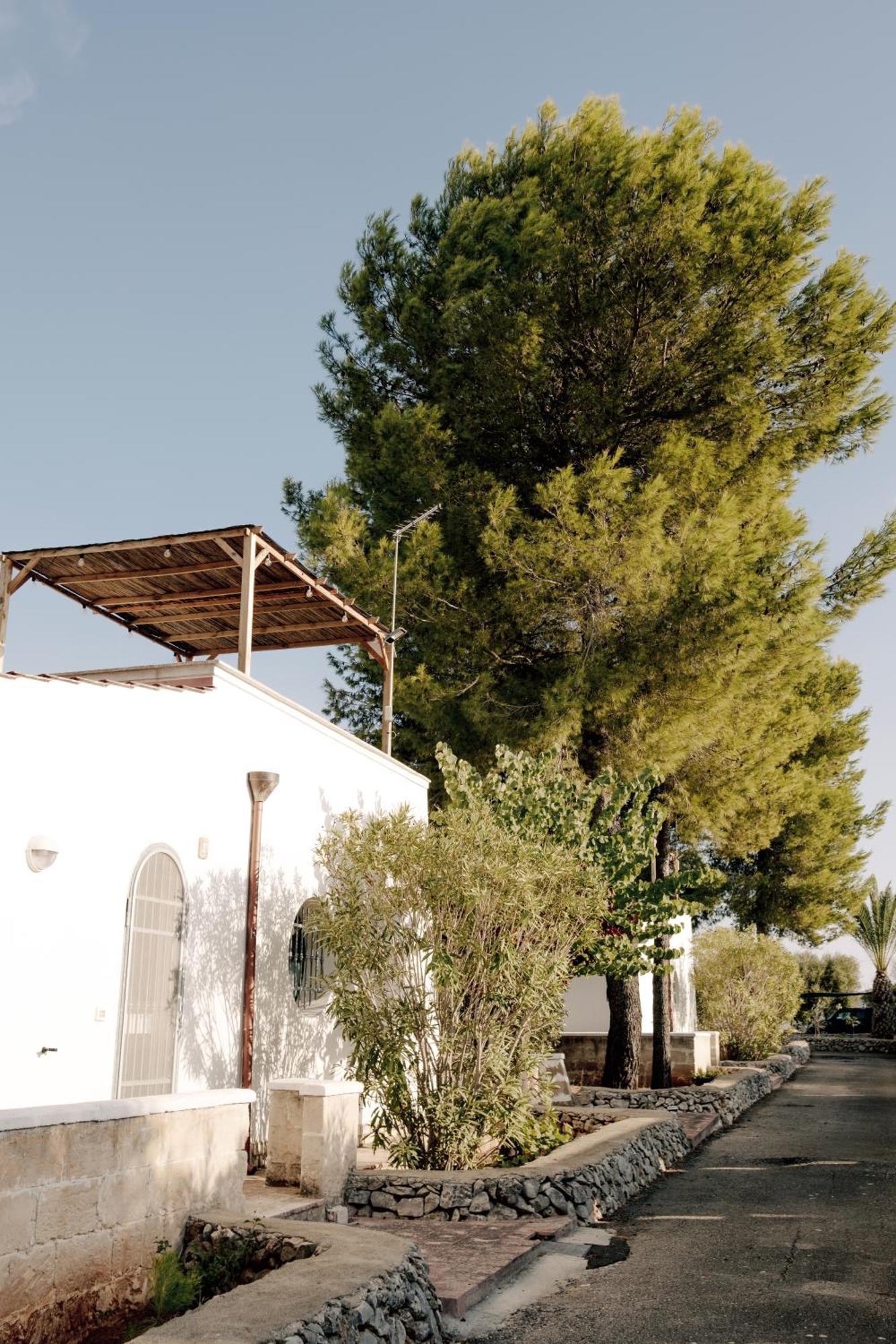 Casette Masseria La Camardia Holiday home